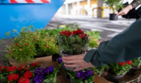 Flowers from LG Energy Solution Wroclaw’s pro-ecological campaign. (Source: LG Energy Solution Wroclaw LinkedIn)